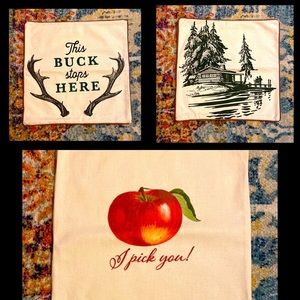 NWOT 3 farmhouse pillow covers 18x18 antlers embroidery cottagecore apple cabin